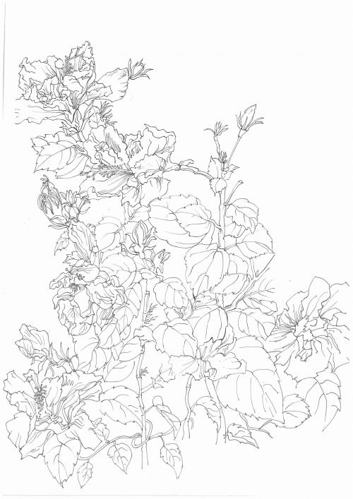 教师资格证哪里能办理